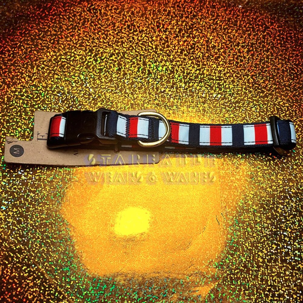 ELLEN DEGENERES DOG COLLAR Medium red white blue stripe patriotic USA France NEW
